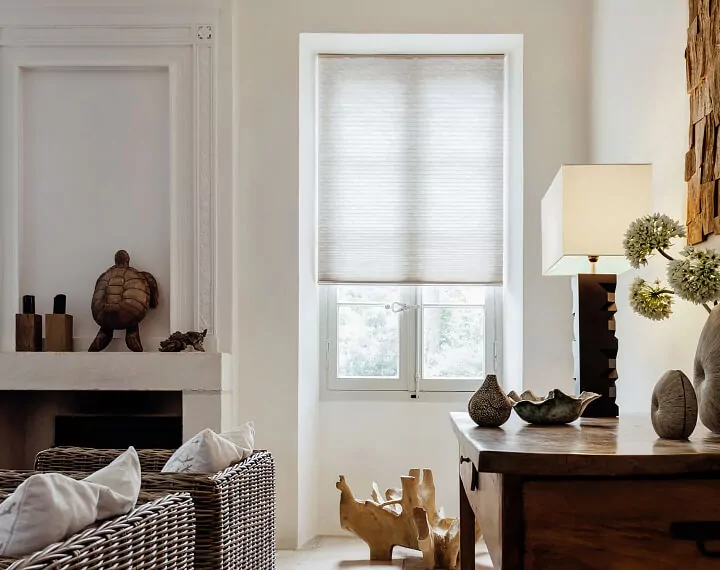 A living room with natural decorative objects and a window with a light filtering Cellular Shade.