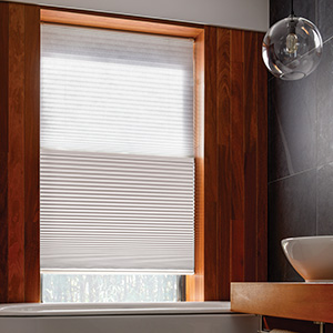 A bathroom window features a Day/Night Cellular Shade with 3-4 Caluna Blackout in White and sheer Frost materials