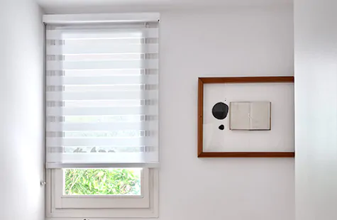 Double Roller Shades: Definition & Options