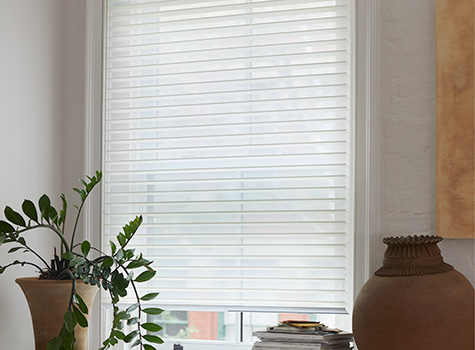 Venetian Roller Shades for windows cover a window in a creative workspace with a leafy potted plant and a Grecian jar